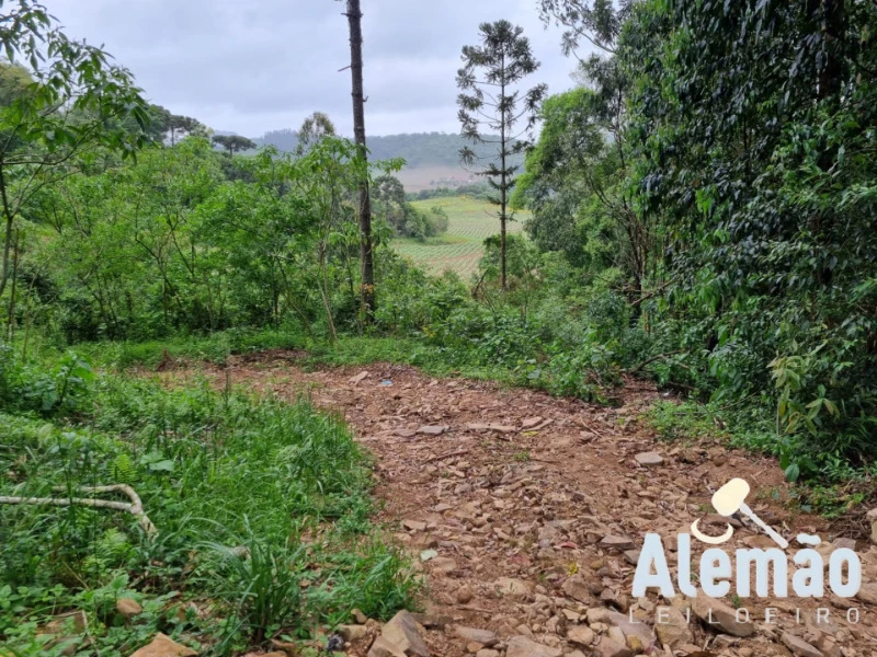 Terreno no Linha Frei Clemente, Barros Cassal/RS em Barros Cassal - Rio Grande do Sul