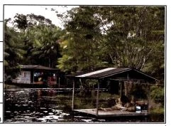 Terreno de 333000m² na Fazenda São José em Anajás - Pará
