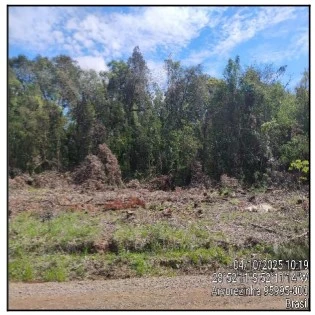 Terreno no Centro em Arvorezinha/RS em Arvorezinha - Rio Grande do Sul
