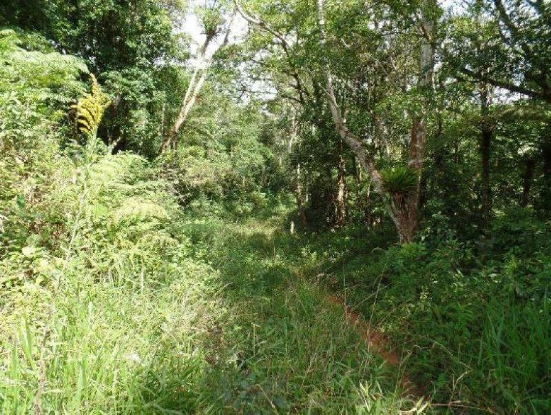 Terreno de 605000m² no Sítio Itaguapeva em Ibiúna - São Paulo