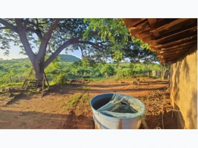 Terreno Terreno Rural com 30 ha em Tangueira, Maranguape, CE em Maranguape - Ceará