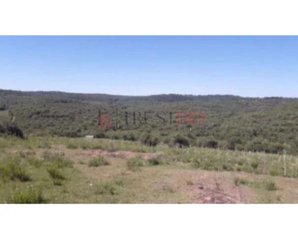 Fazenda em Santana da Boa Vista/RS em Santana Da Boa Vista - Rio Grande do Sul
