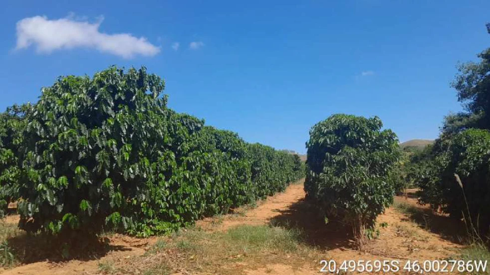 Fazenda com 95 hectares em Piumhi/MG em Piumhi - Minas Gerais