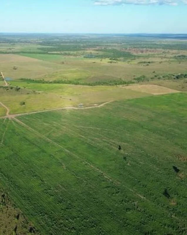 Fazenda com 140 Ha em Marajá do Sena/MA em Marajá Do Sena - Maranhão