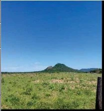 Terreno com Terreno Rural em Morpará/BA em Morpara - Bahia