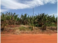 Terreno em Bandeirantes/MS em Bandeirantes - Mato Grosso do Sul