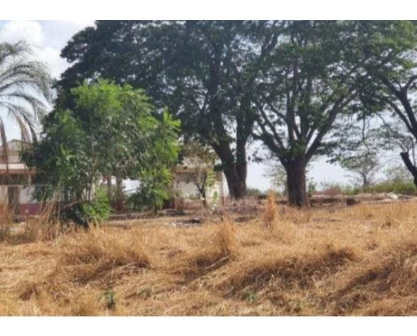 Terreno Terreno com 2 Galp2es em Votuporanga/SP em Votuporanga - São Paulo