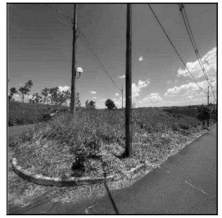 Terreno no Cond. Parque Firenze em Umuarama/PR em Umuarama - Paraná