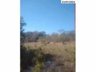 Sítio Com Área Remanescente Em Campinaçu/GO em Campinaçu - Goiás