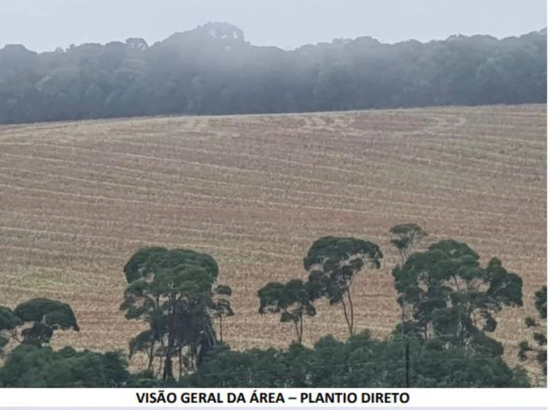Adipisci ipsam placeat reiciendis.