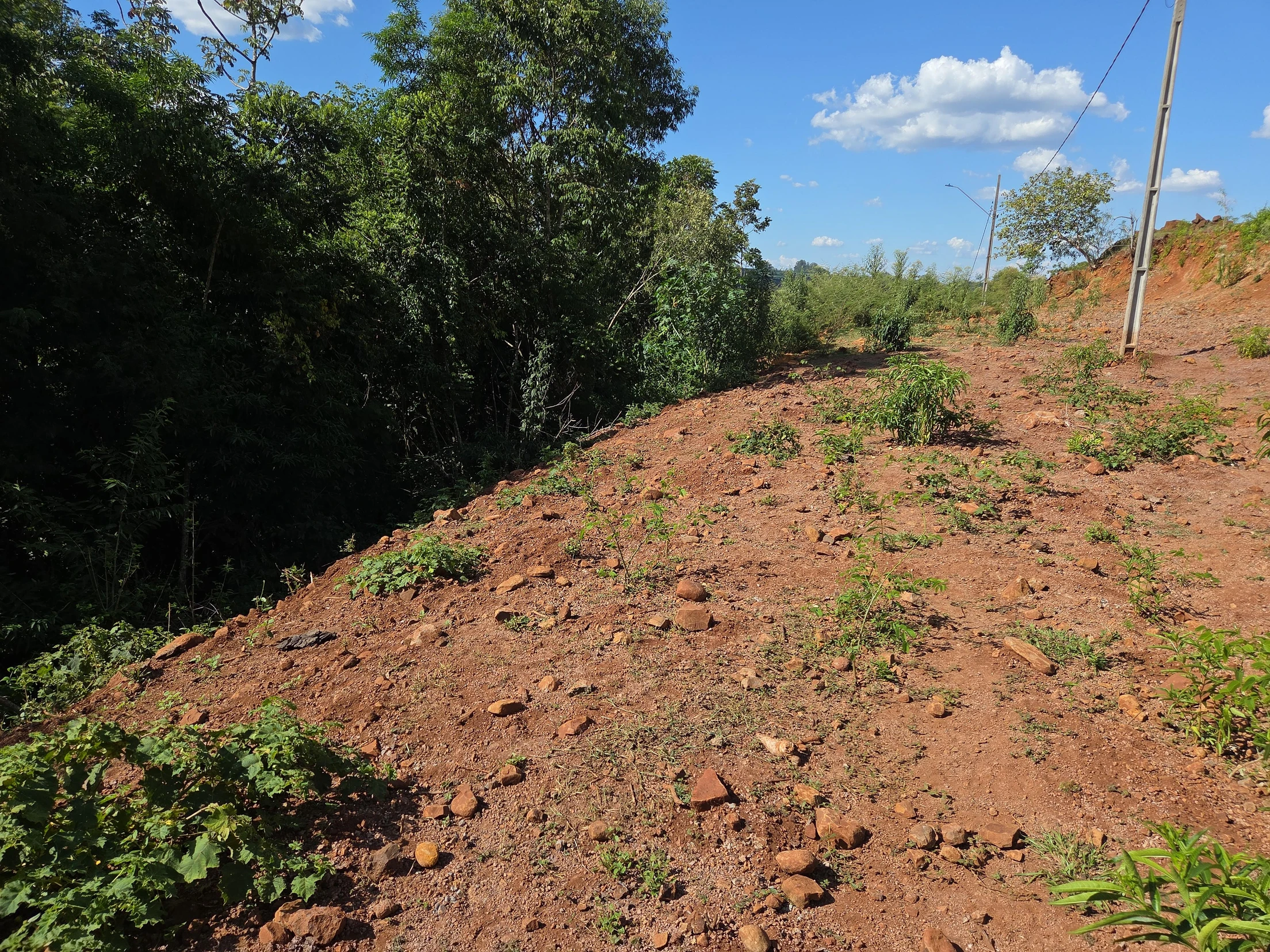 Terreno no Lote Urbano 02 em Nova Prata do Iguaçu/PR em Nova Prata Do Iguaçu - Paraná