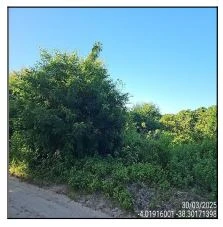 Terreno de 3154m² em Pindoretama Caponga Funda em Pindoretama - Ceará