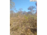 Sítio Com Área Remanescente Em Campinaçu/GO em Campinaçu - Goiás