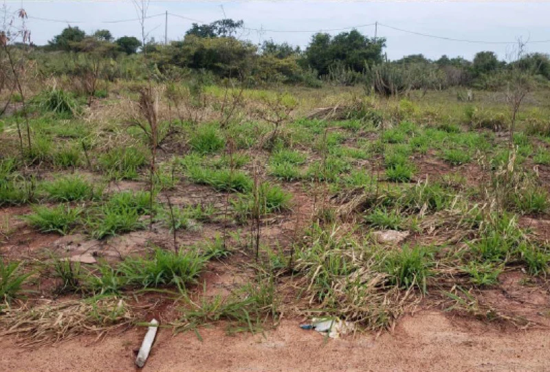 Terreno em Praias de São José do Barreto, Macaé/RJ em Macaé - Rio de Janeiro