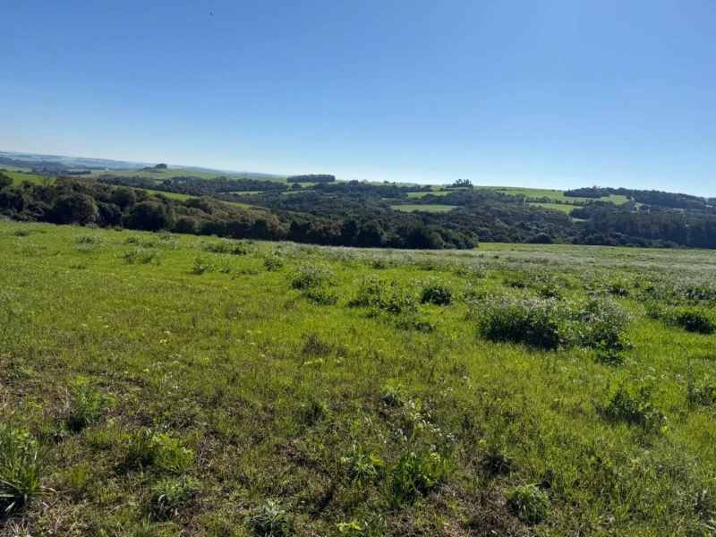 Terreno em Água Branca, Mormaço/RS em Mormaço - Rio Grande do Sul