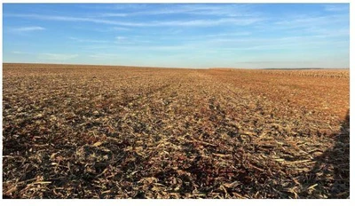 Terreno terreno rural no Distrito de São Luiz em Mariluz/PR em Mariluz - Paraná