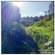 Terreno no Jardim Alvorada em Campo Mourão/PR em Candeia - Paraná
