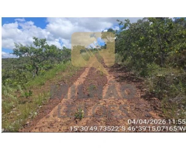 Terreno no Fazenda São Vicente da Direita em Buritis/MG em Buritis - Minas Gerais