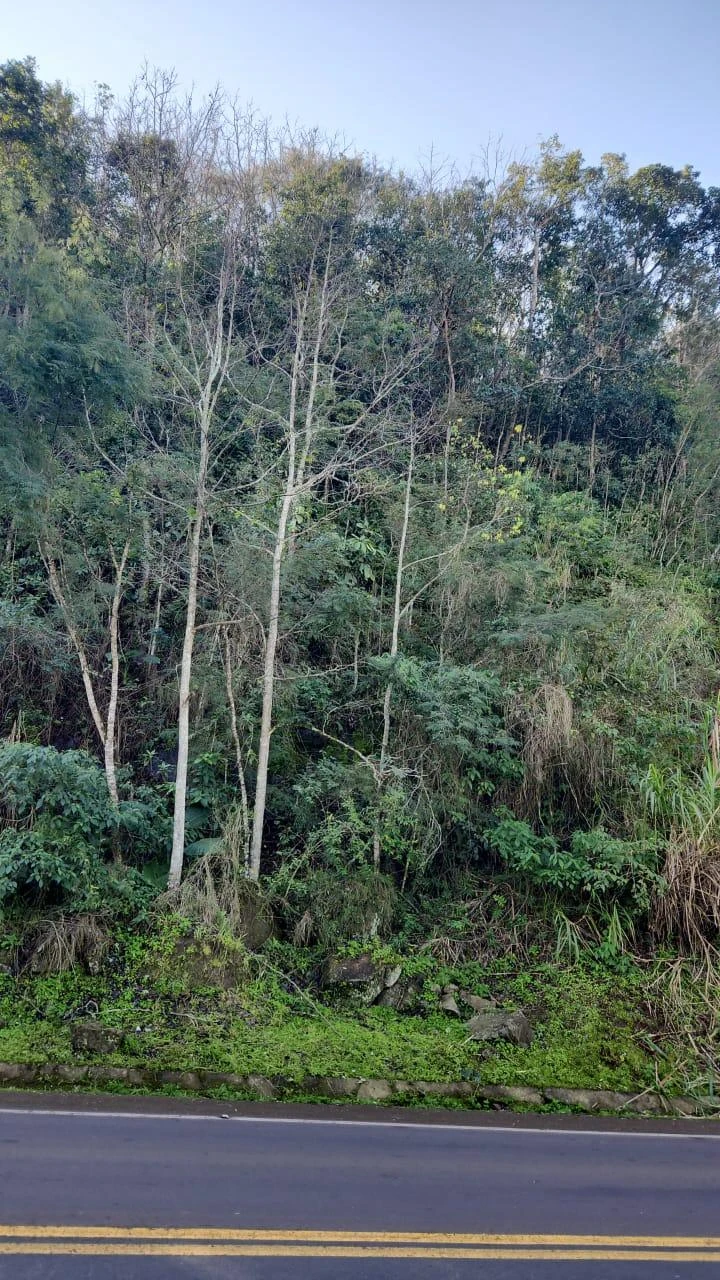 Terreno no Mondai/SC em Mondai/SP em Mondaí - Santa Catarina