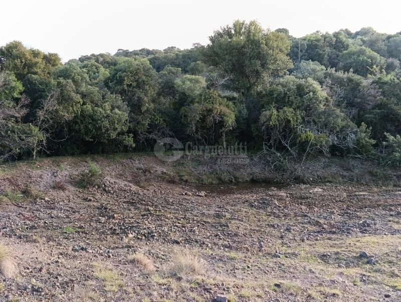 Terreno com Área Remanescente em Jóia/RS em Jóia - Rio Grande do Sul