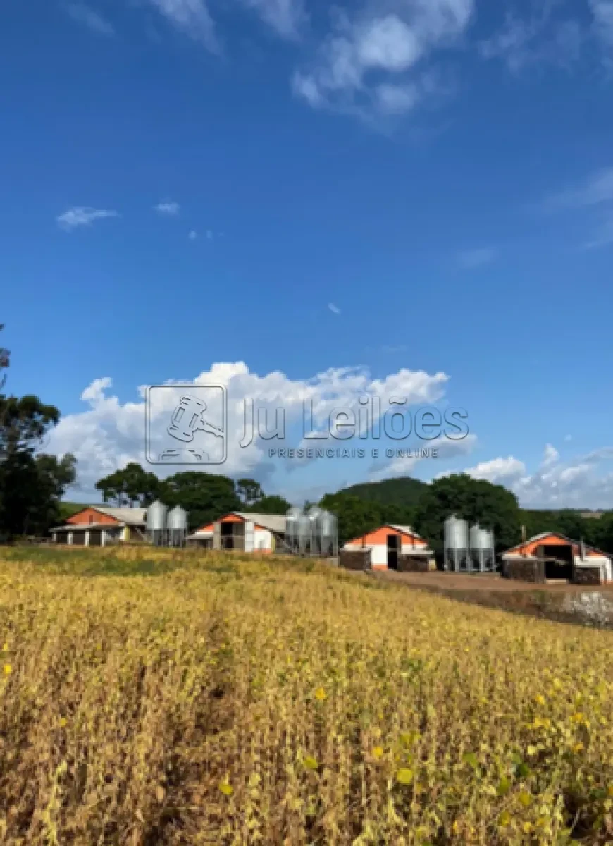 Fazenda Com 24 ha e 4 aviários em Santo Antônio do Palma/RS em Imóvel Rural Com 24 Hectares E 04 Aviários Em Santo Antônio Do Palma - Rio Grande do Sul