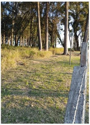 Terreno no Umbará em Curitiba/PR em Curitiba - Paraná