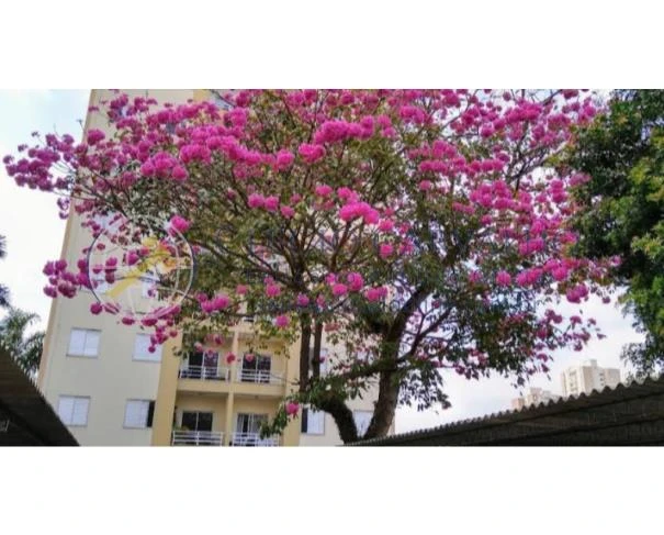 Apartamento com 1 Vaga em São José dos Campos/SP em São José Dos Campos - São Paulo