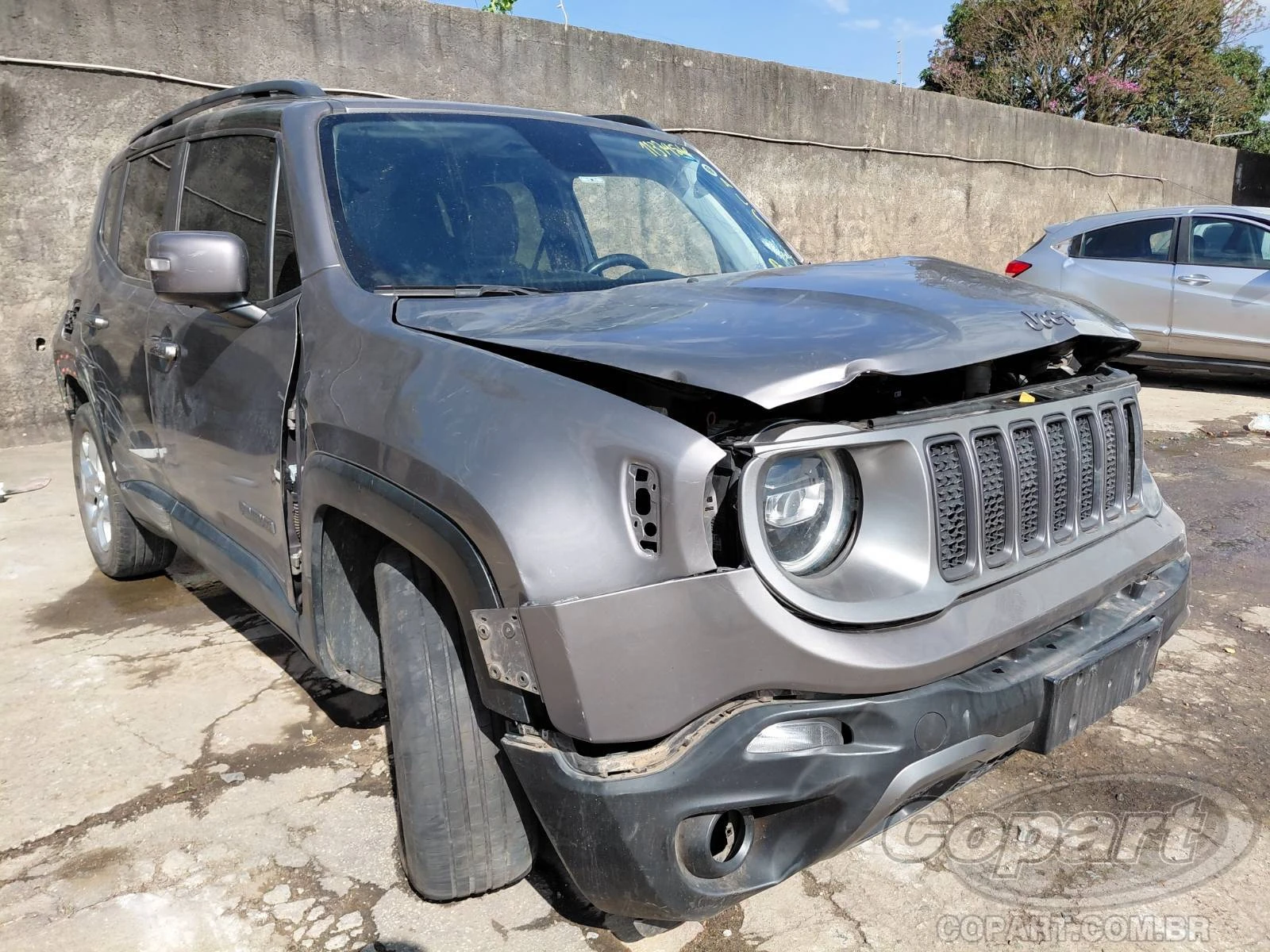 Jeep Renegade Limited 2019 1.8 16V Evo em Osasco - São Paulo