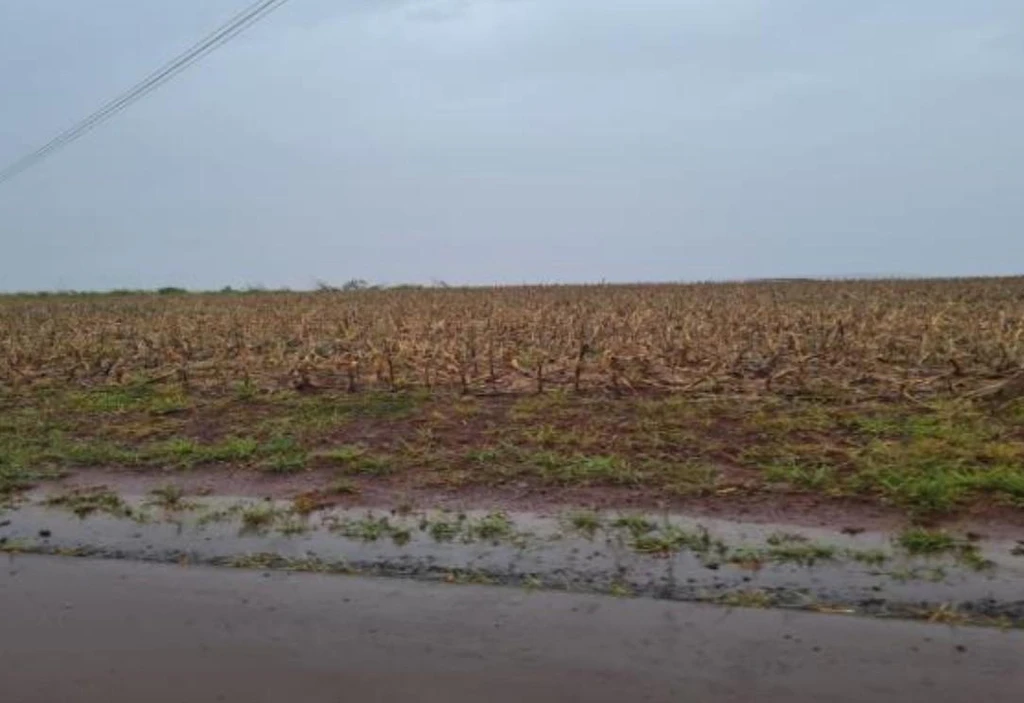 Chácara em Toledo/PR em Toledo - Paraná