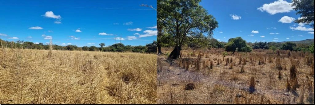 Terreno em Formoso/MG em Formoso - Minas Gerais