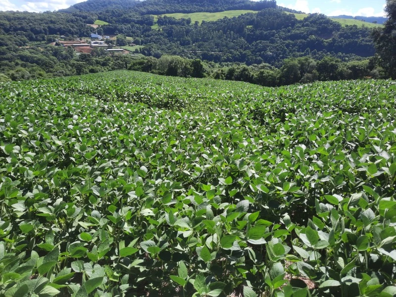 Non itaque quos adipisci soluta necessitatibus.