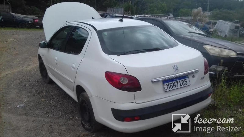 Peugeot 207 XR 2009 2010 em Joinville