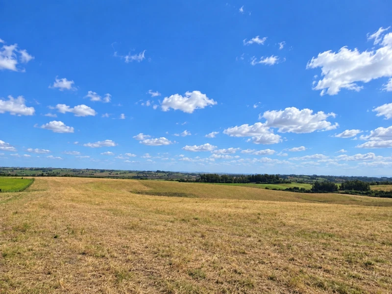 Terreno 34,7 Ha no Rincão do Meio em Candelária/RS em Candelária - Rio Grande do Sul