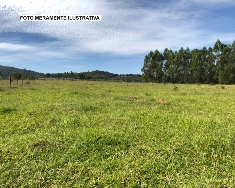 Terreno 109475 m² no Massaranduba/SC em Massaranduba - Santa Catarina