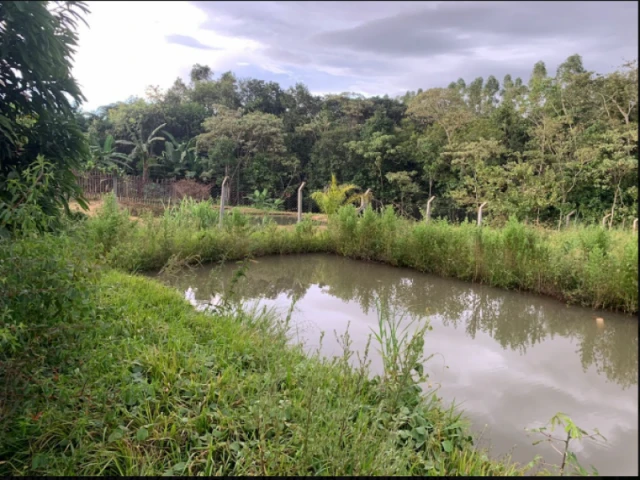 Fazenda com 3.74 Ha em Rio Verde/GO em Rio Verde - Goiás