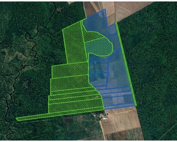 Fazenda com Elo Verde em Brasnorte/MT em Brasnorte - Mato Grosso
