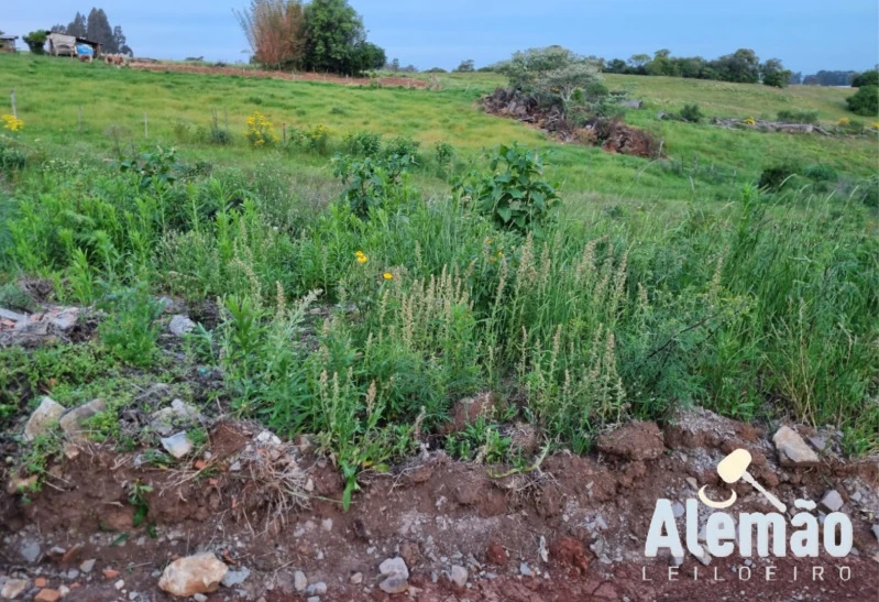 Terreno no Missões Bela Vista em Soledade/RS em Soledade - Rio Grande do Sul