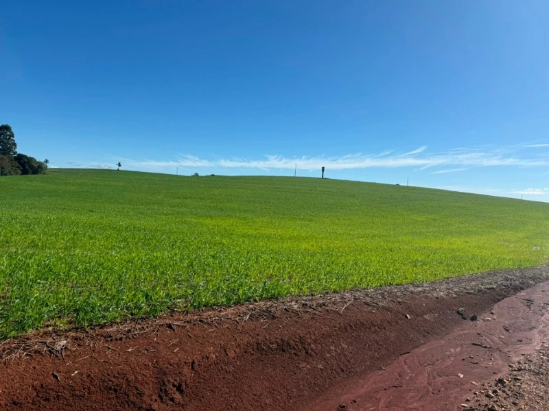 Terreno com 48400m² em Campos Borges/RS em Campos Borges - Rio Grande do Sul