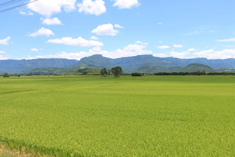 Terreno no Área Rural Vale Verde em Matias Barbosa/MG em Matias Barbosa - Minas Gerais