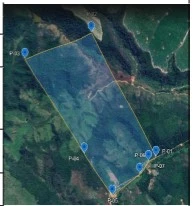 Terreno Terreno Rural em Paulo Ramos/MA em Paulo Ramos - Maranhão