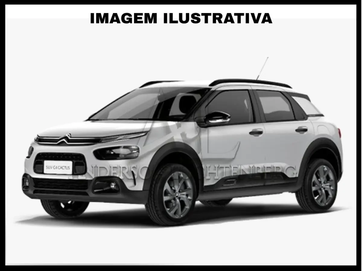 Citroen C4 Cactus Feel 2019 Automático em Garuva - Santa Catarina