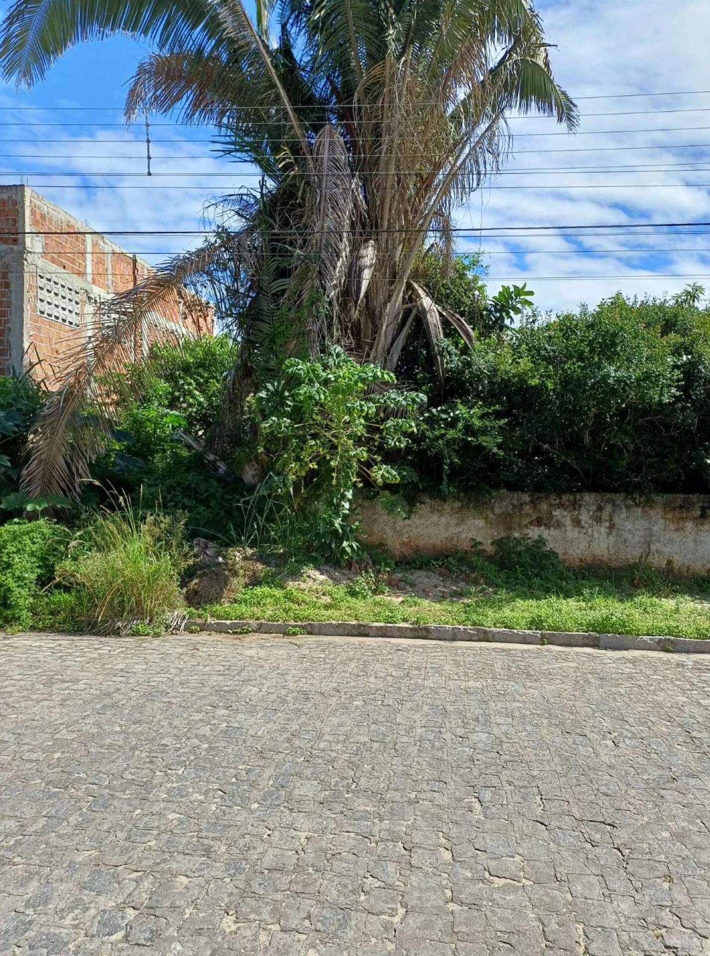 Terreno no Loteamento Jardim Tavares em Campina Grande/PB em Campina Grande - Paraíba