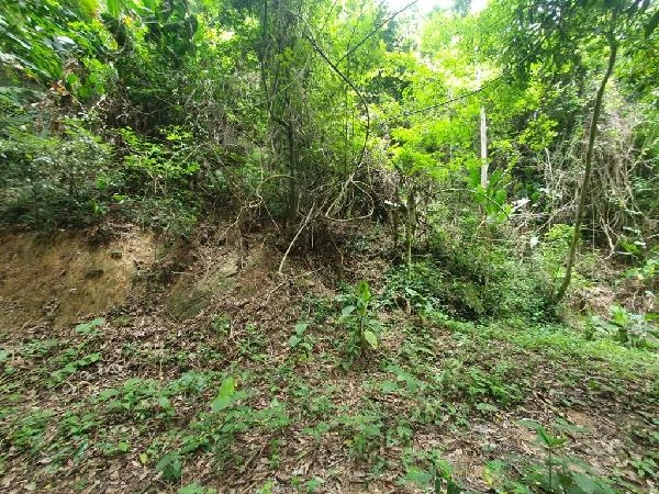 Terreno de 427m² no Piratininga em Niterói - Rio de Janeiro