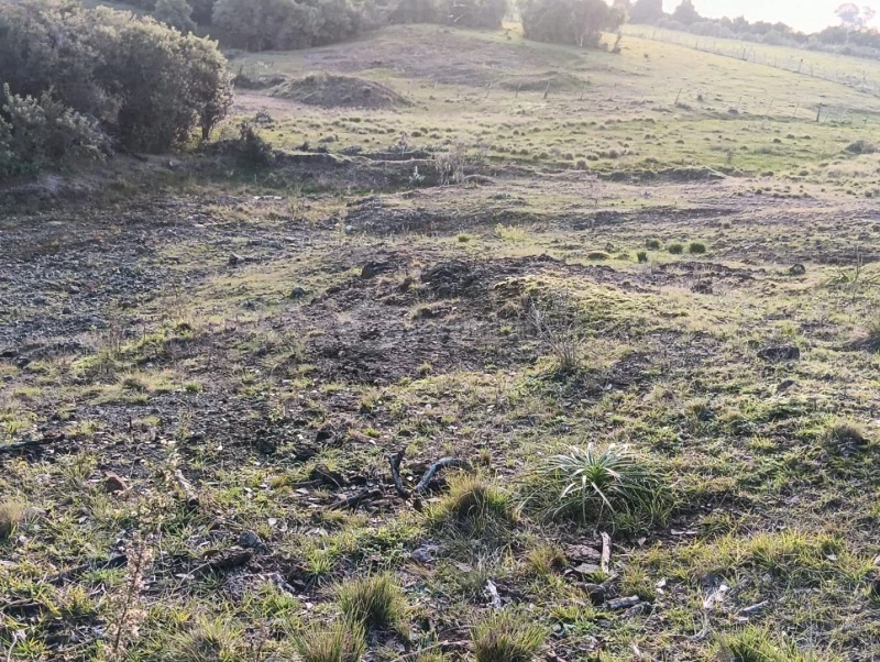 Terreno com Área Remanescente em Jóia/RS em Jóia - Rio Grande do Sul