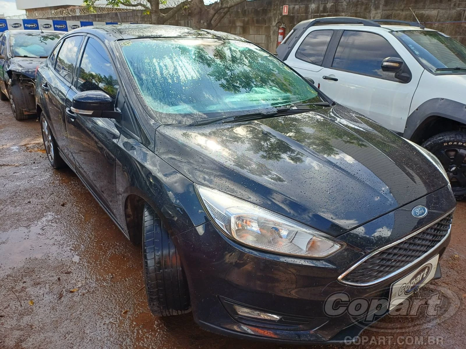 Ford Focus Fastback SE 2019 2.0 Duratec GDI Automático em Aparecida De Goiânia - Goiás
