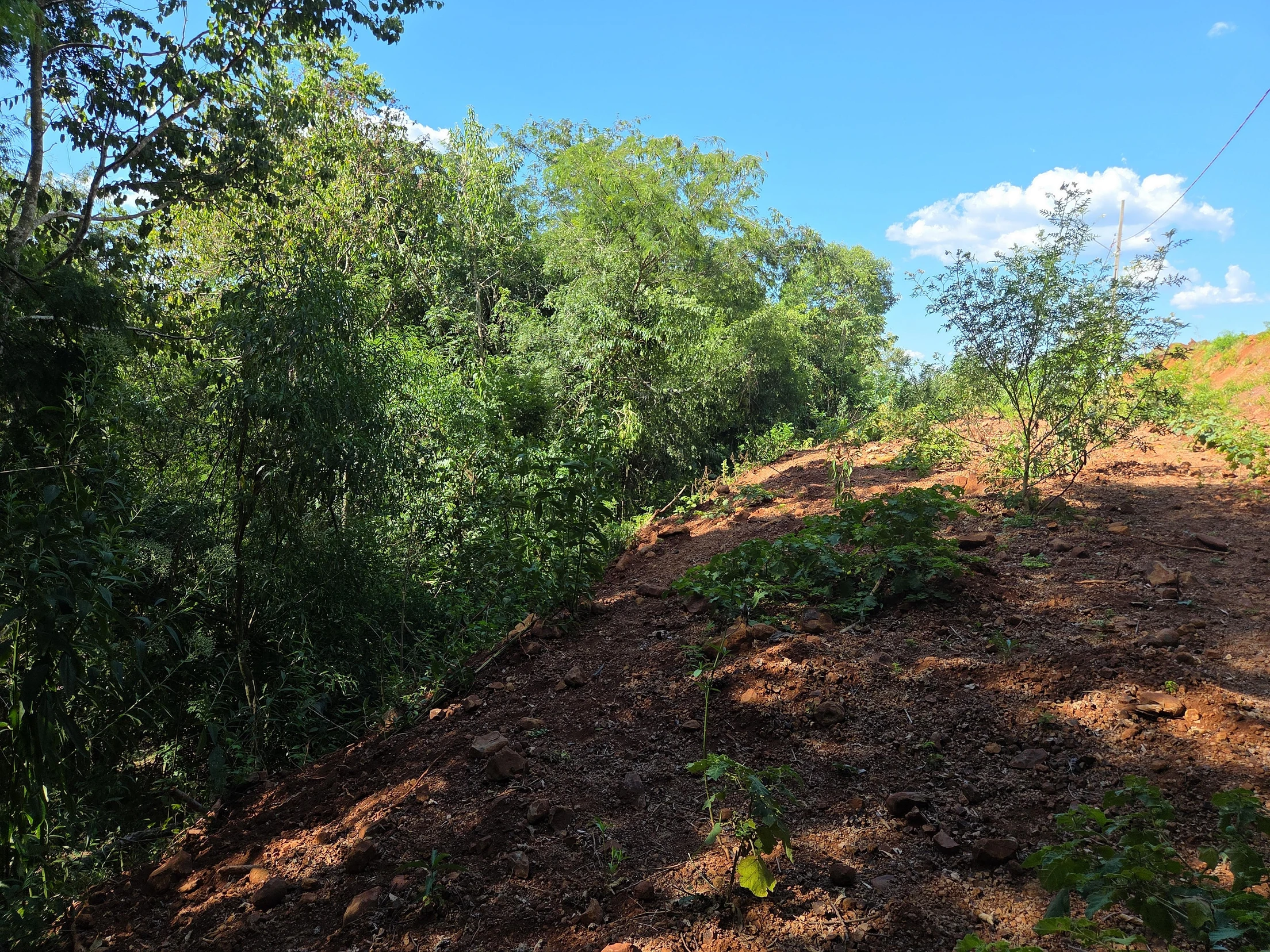 Terreno no Loteamento Jardim Europa, Nova Prata do Iguaçu/PR em Nova Prata Do Iguaçu - Paraná