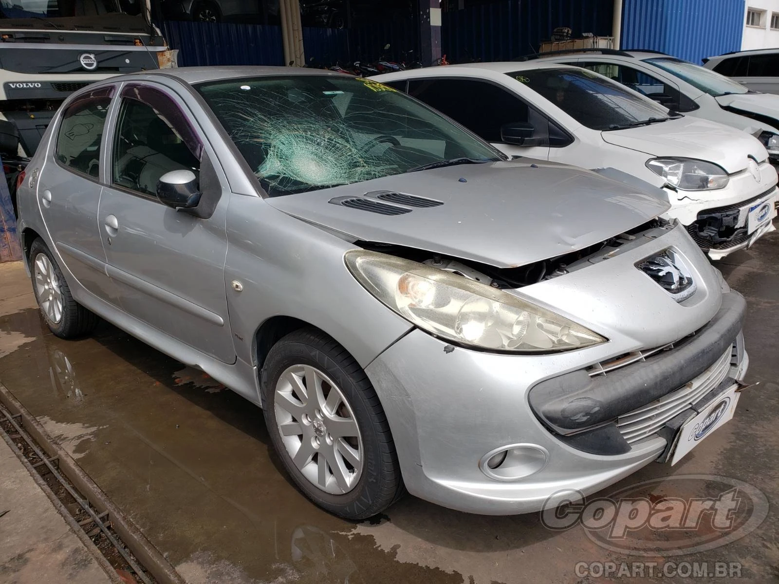 Peugeot 207 2009 1.6 16V em Ribeirão Preto - São Paulo