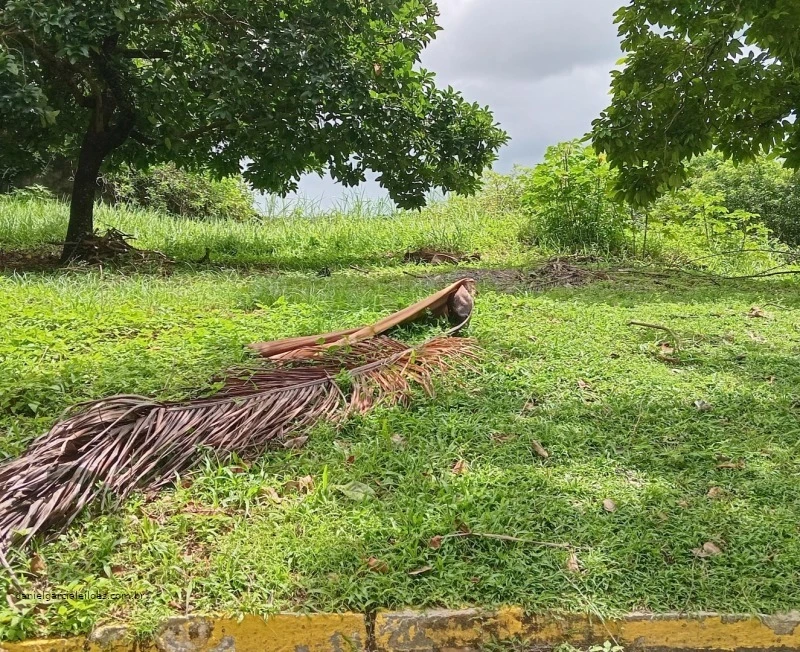 Terreno no Dois Irmãos em Recife/PE em Recife - Pernambuco