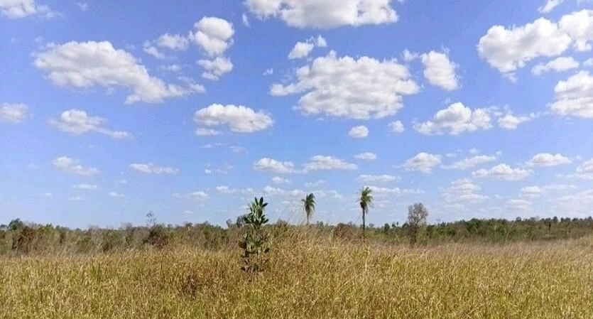 Terreno com 2 glebas em Sítio Novo, MA em Sítio Novo - Maranhão