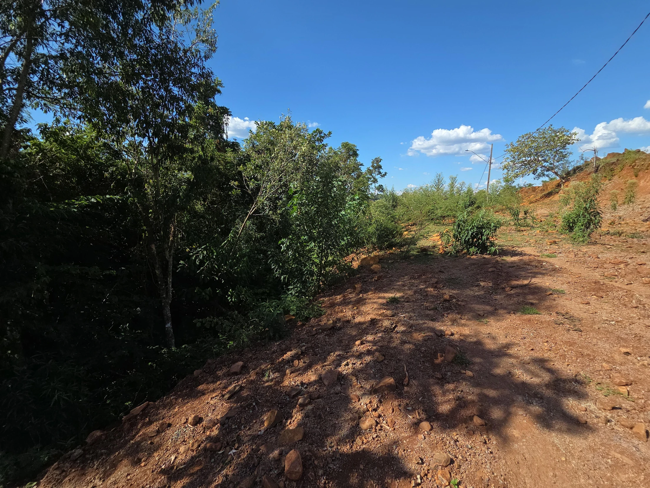 Terreno no Lote Urbano 03 em Nova Prata do Iguaçu/PR em Nova Prata Do Iguaçu - Paraná